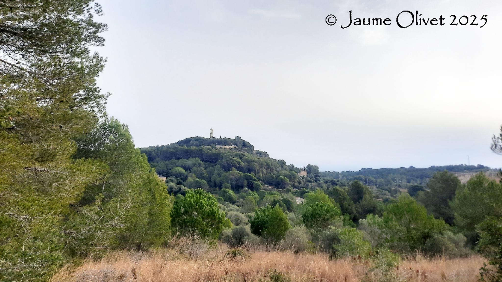  Jaume Olivet 2025