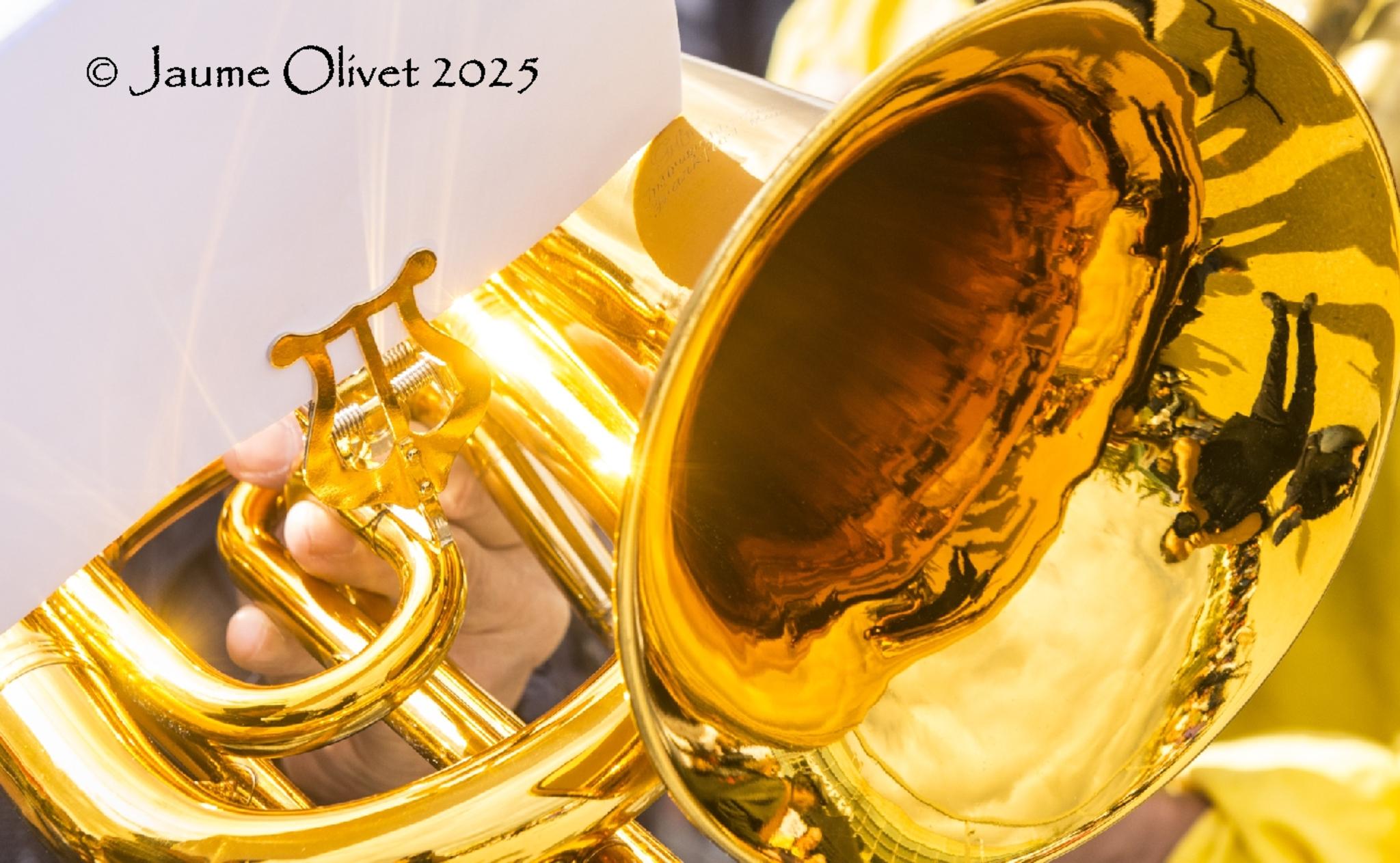  Jaume Olivet 2025
