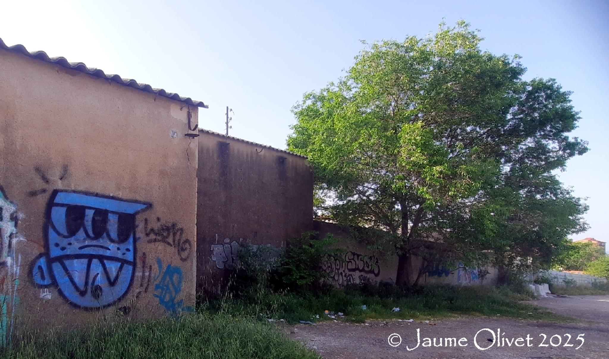 © Jaume Olivet 2025