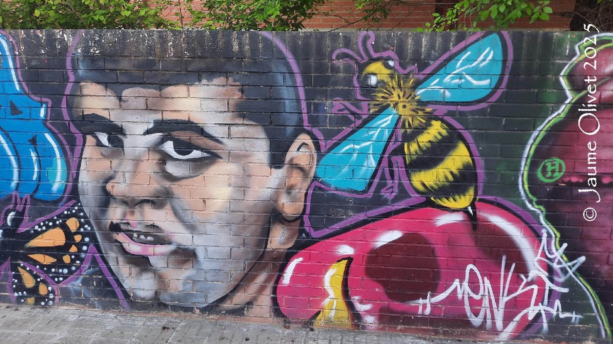 © Jaume Olivet 2025