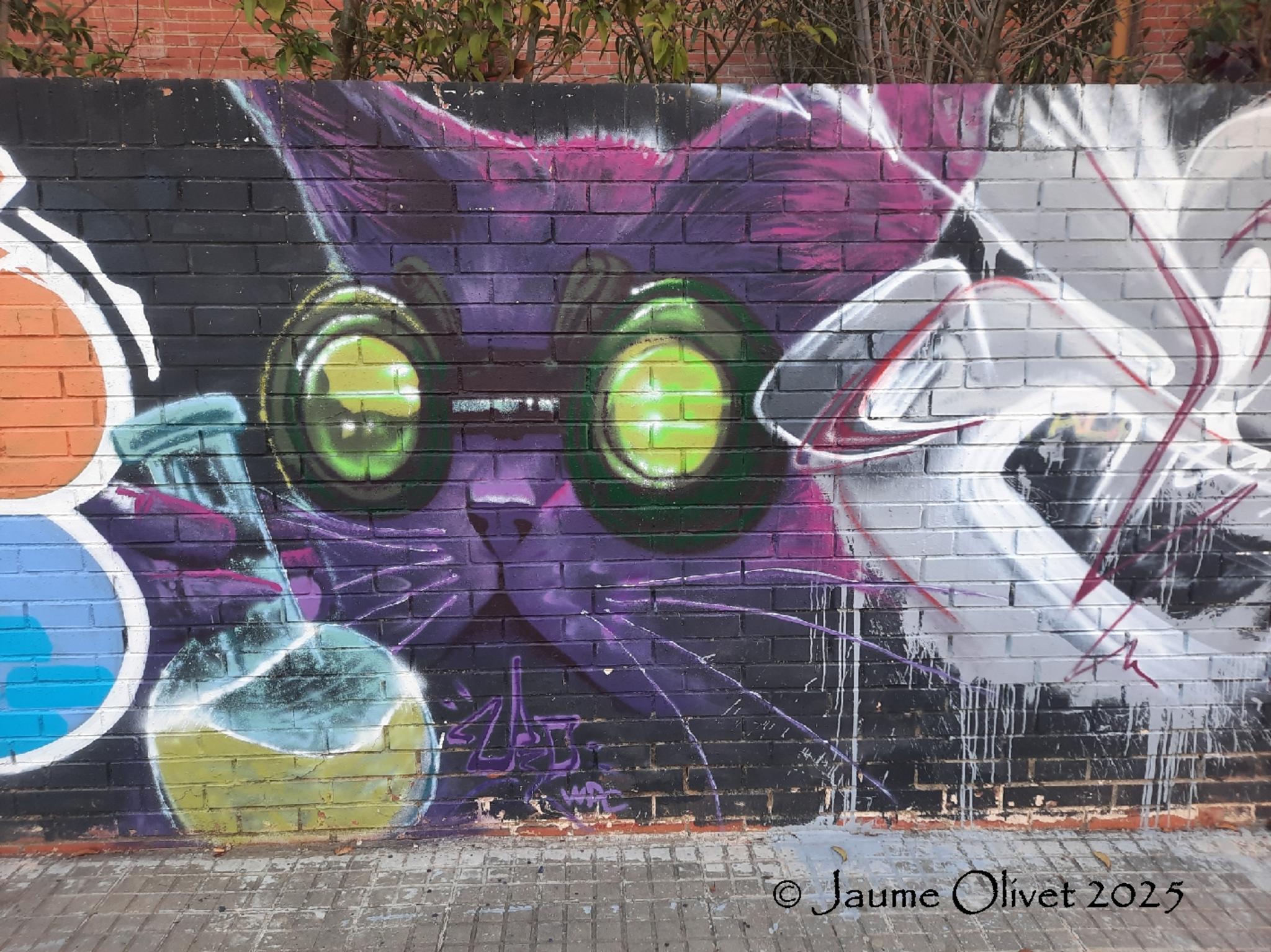 © Jaume Olivet 2025