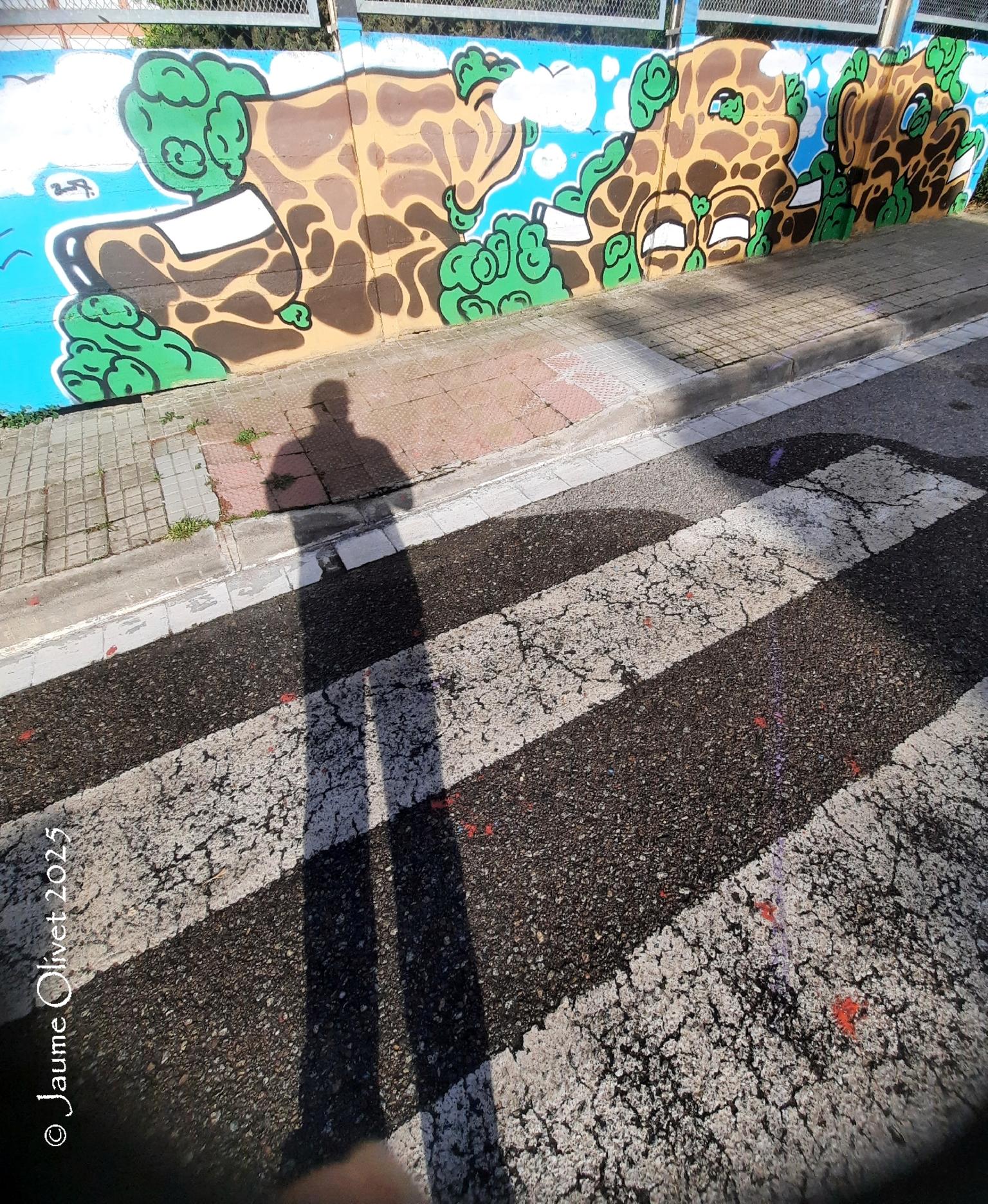 © Jaume Olivet 2025