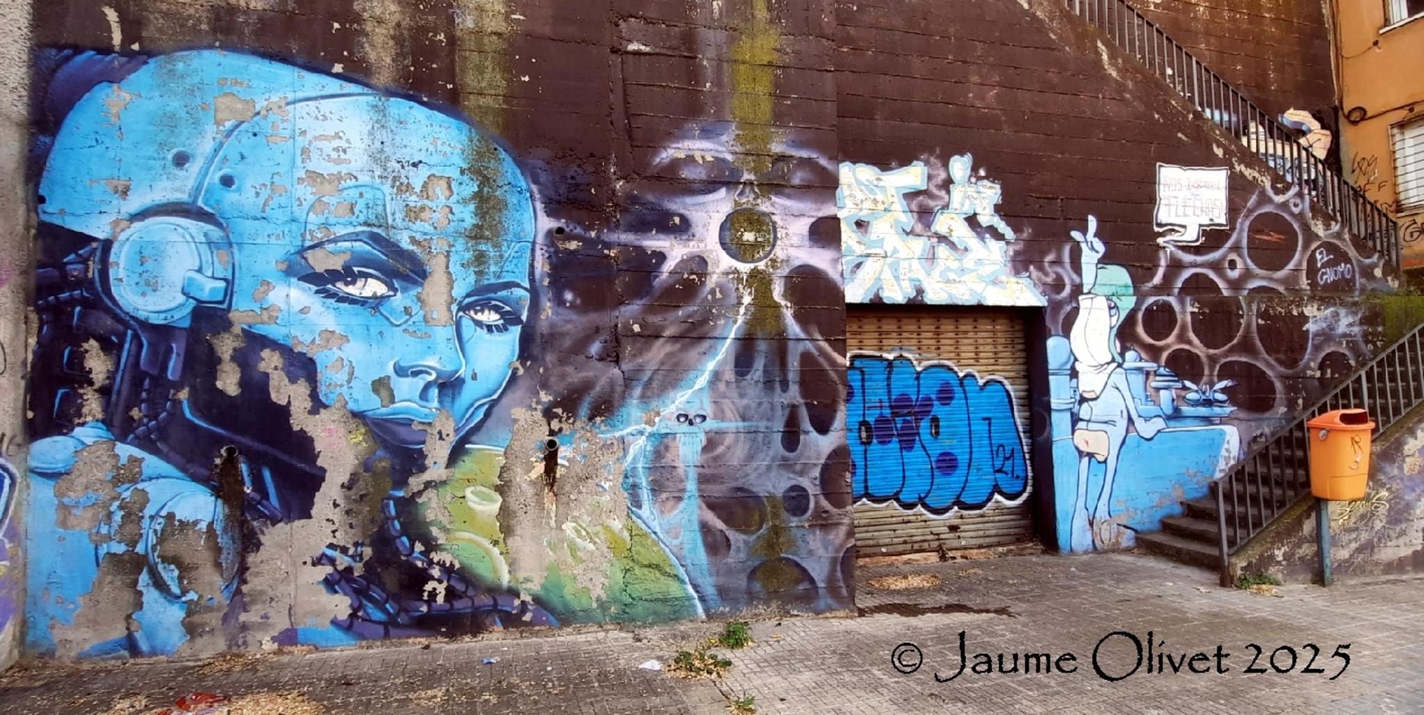 © Jaume Olivet 2025