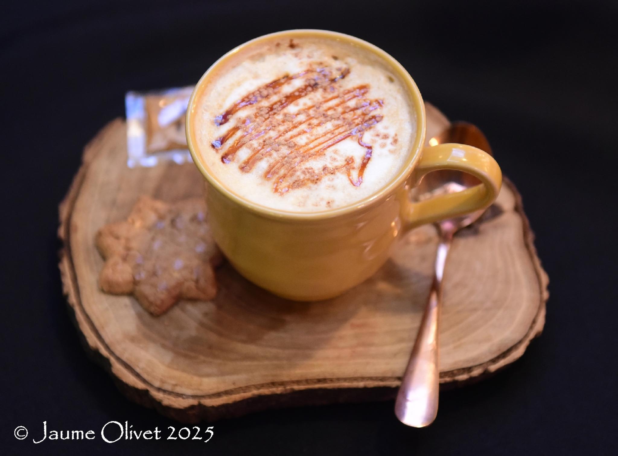 � Jaume Olivet 2025