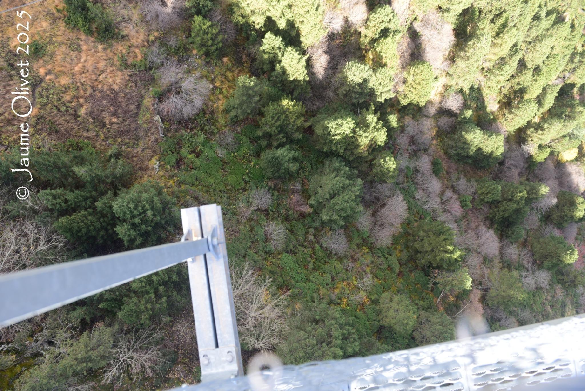  Jaume Olivet 2025
