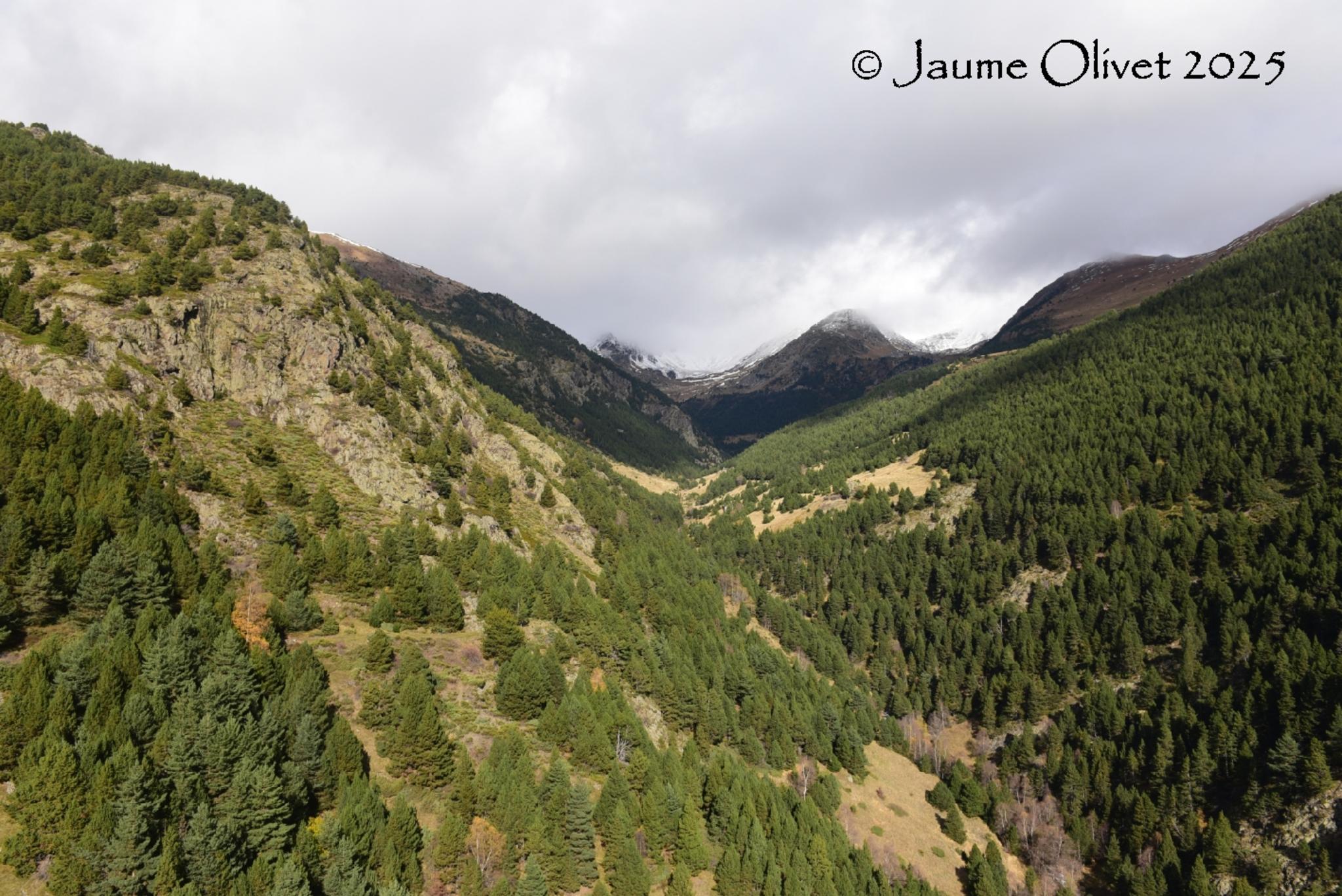  Jaume Olivet 2025