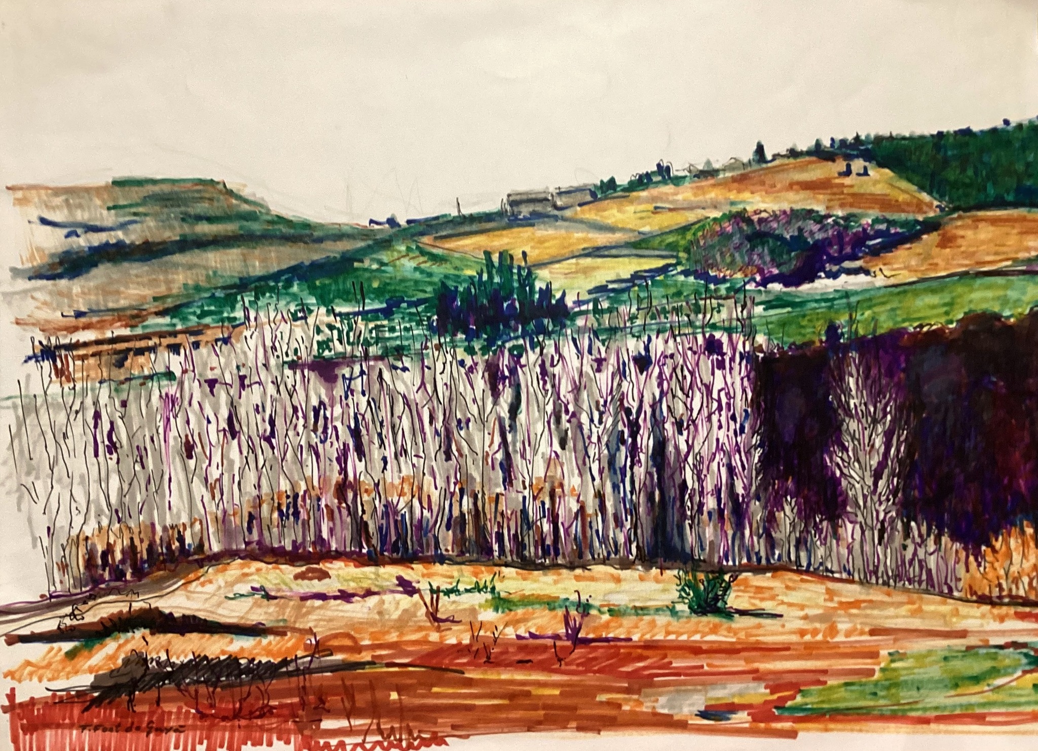 � Fernando Font de Gay� 2026