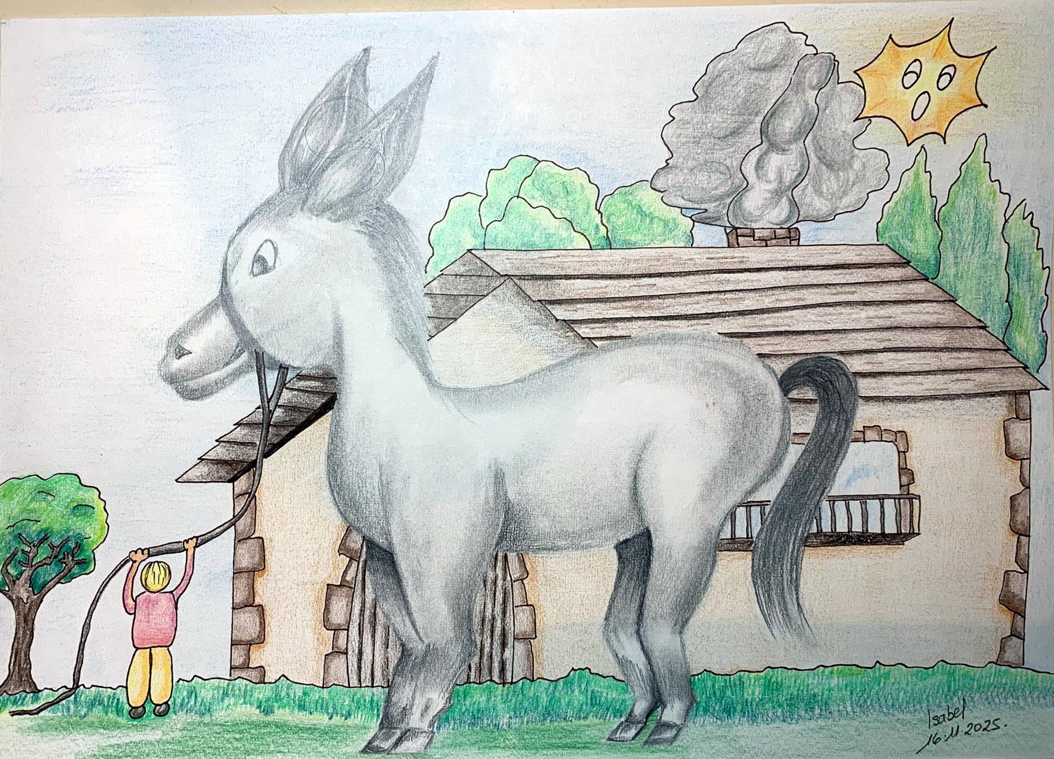 � Isabel Rodriguez 2026