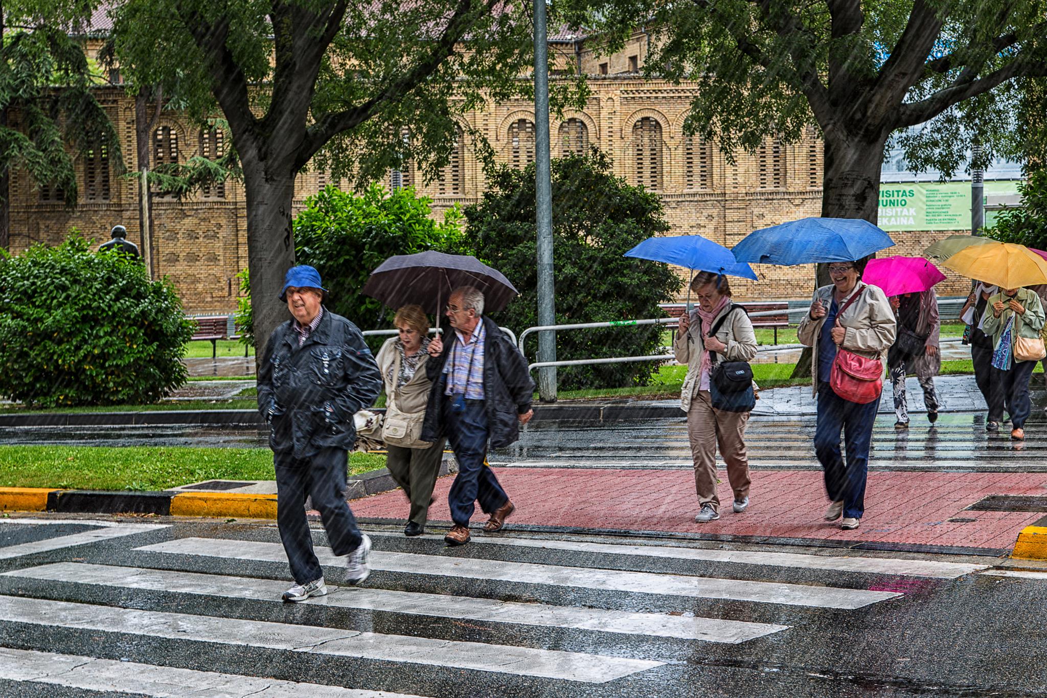 � Jaume Jov� 2026