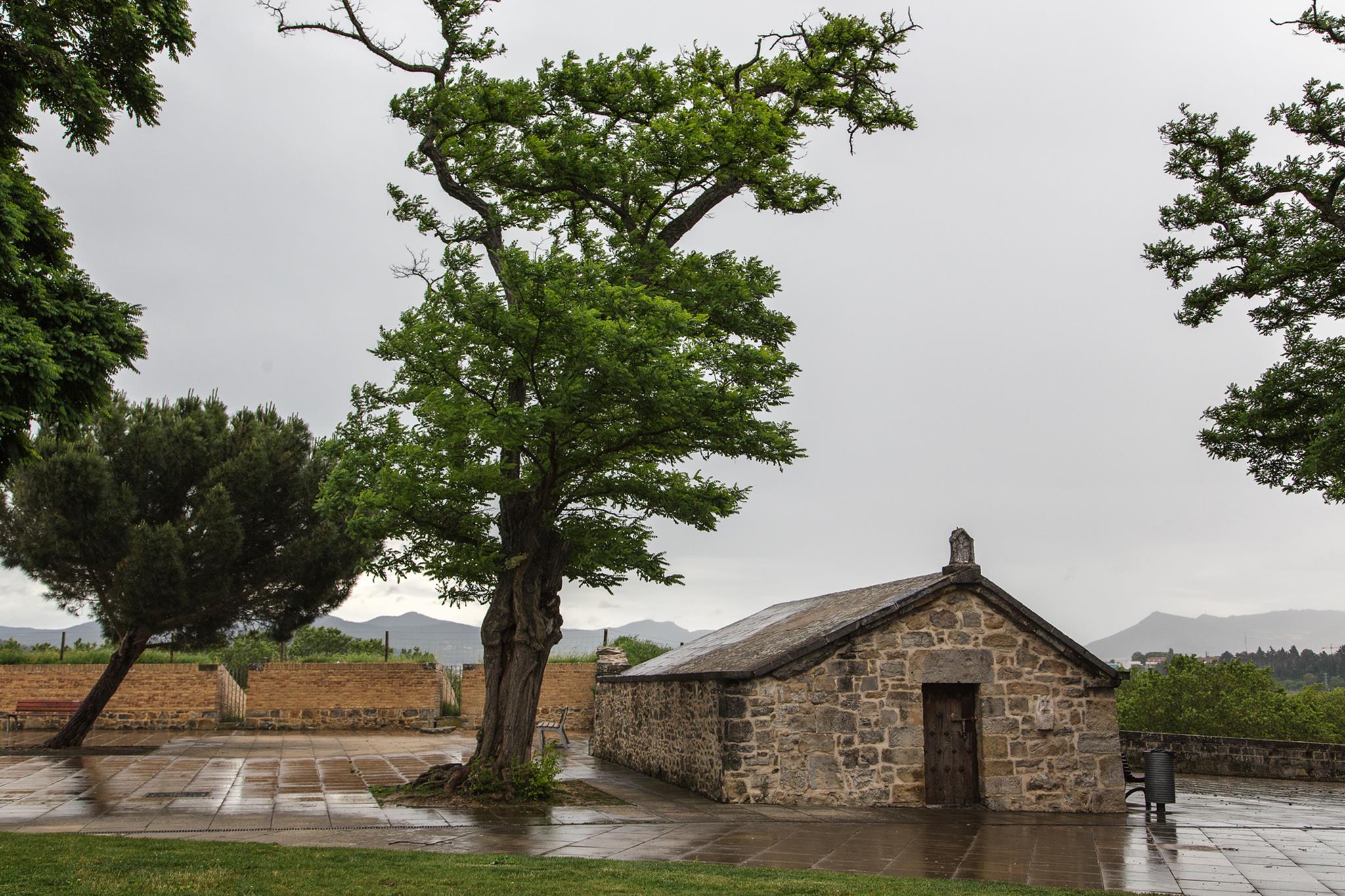 � Jaume Jov� 2026