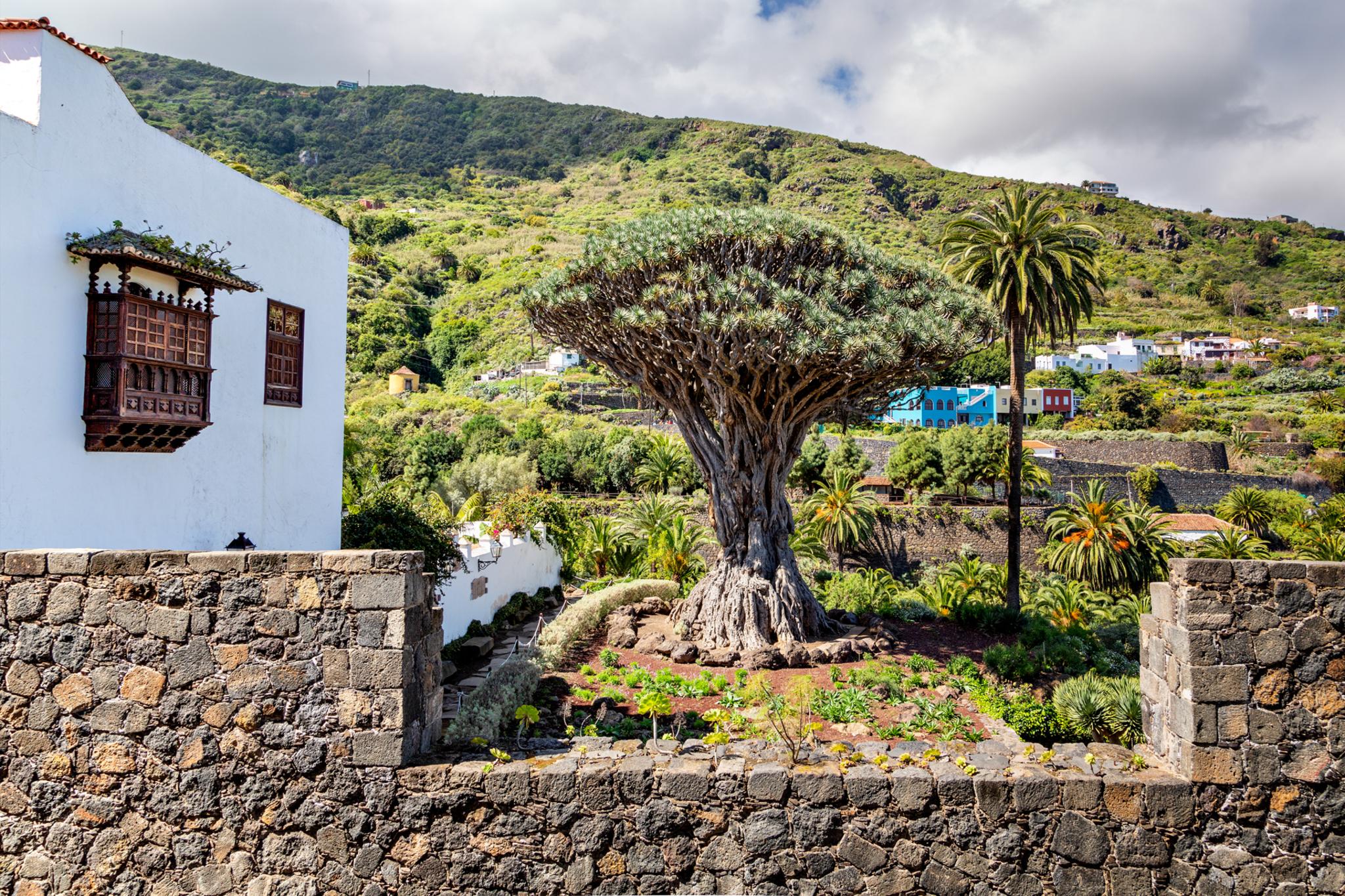 � Jaume Jov� 2026