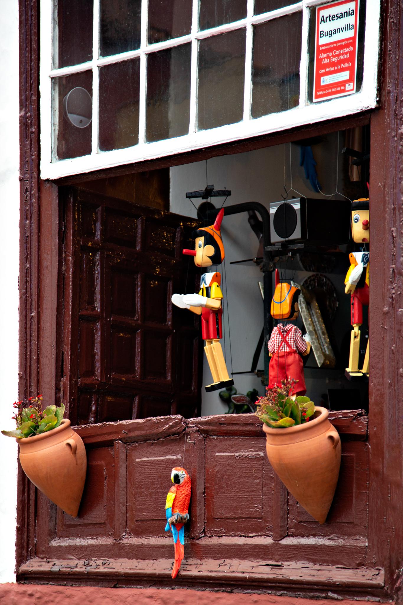 � Jaume Jov� 2026