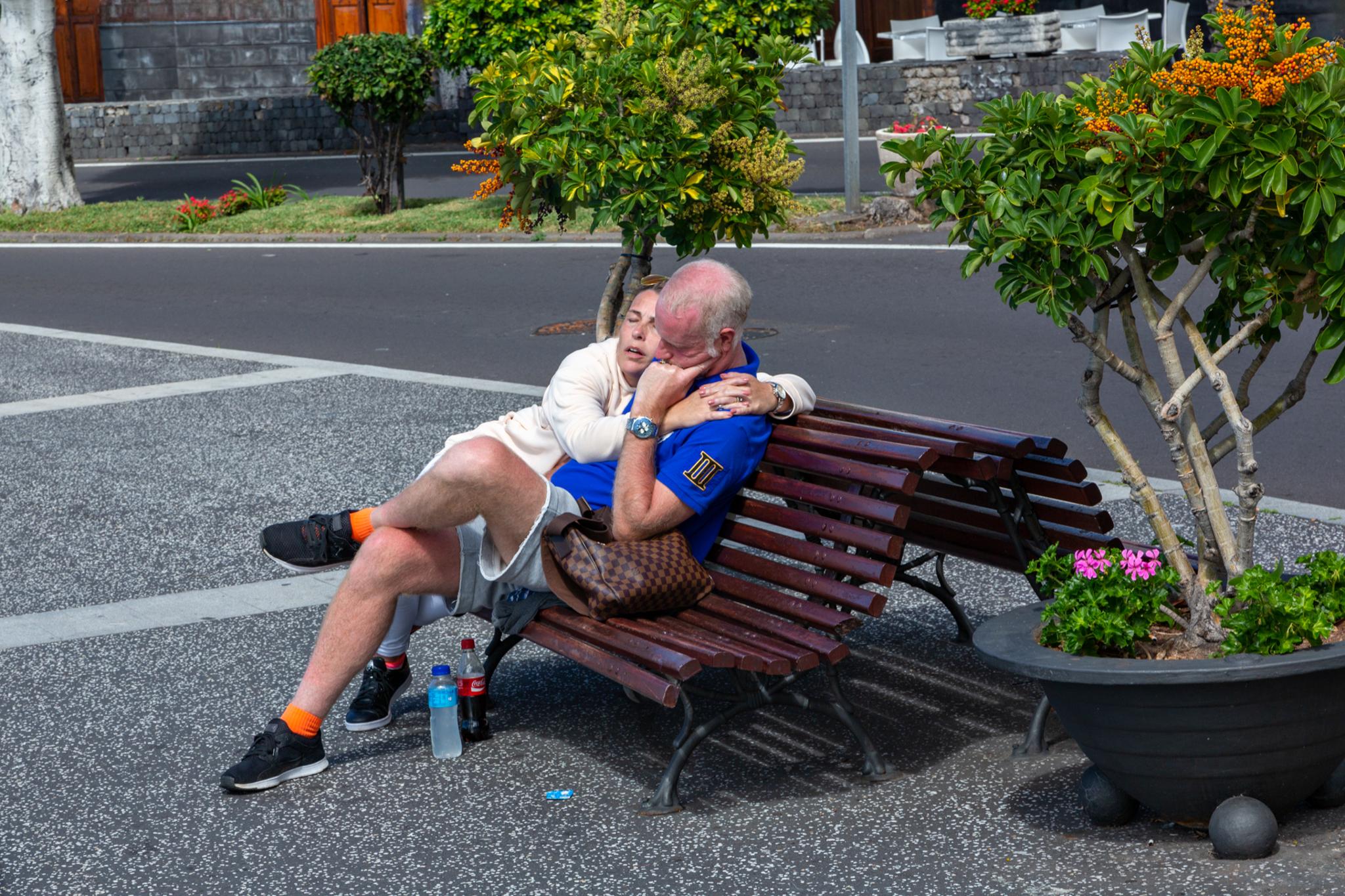 � Jaume Jov� 2026