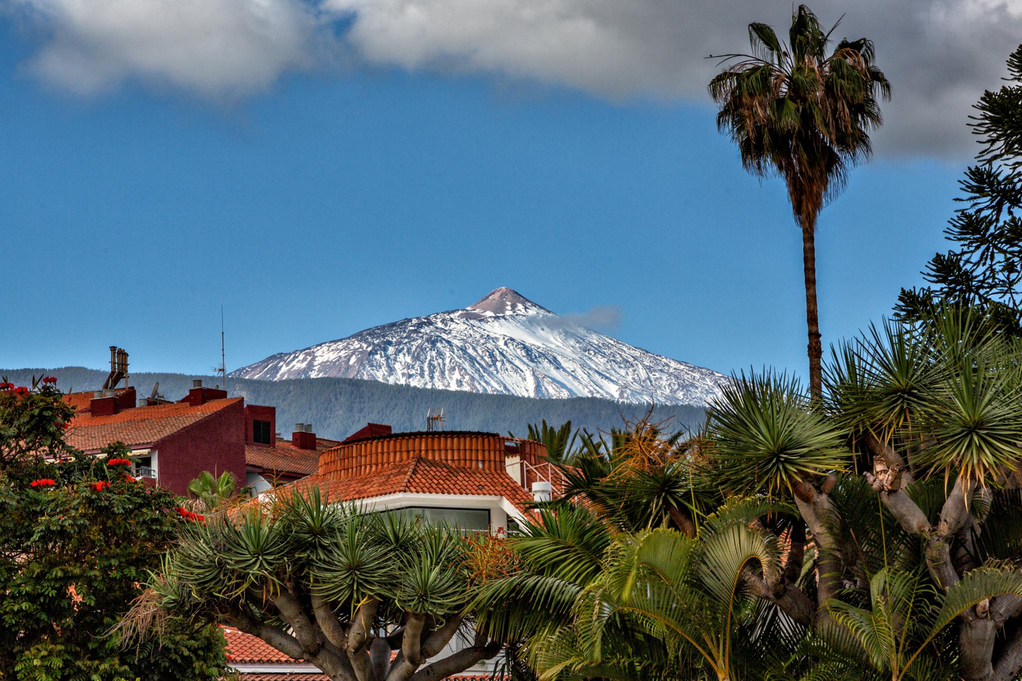 � Jaume Jov� 2026