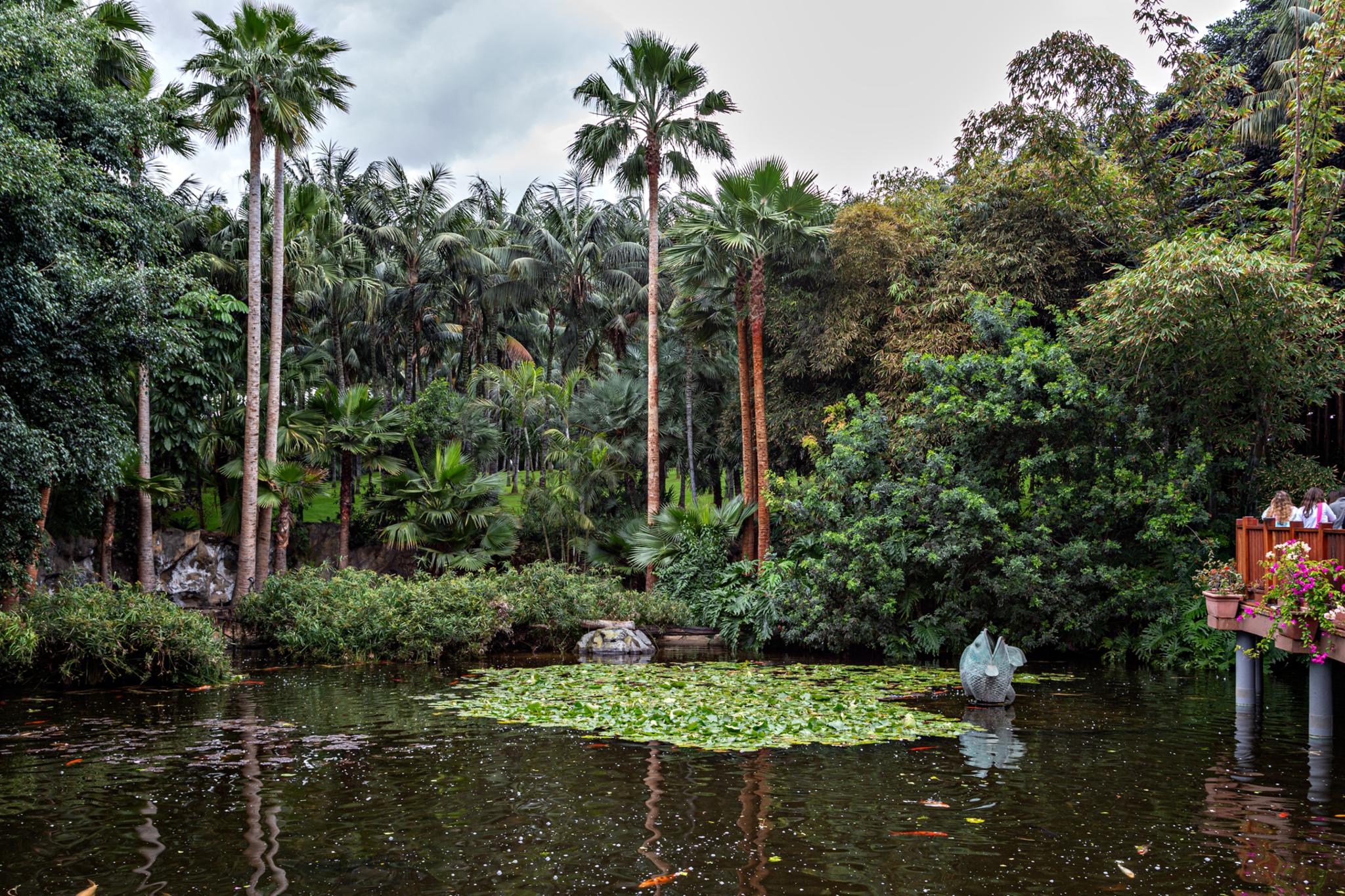 � Jaume Jov� 2026