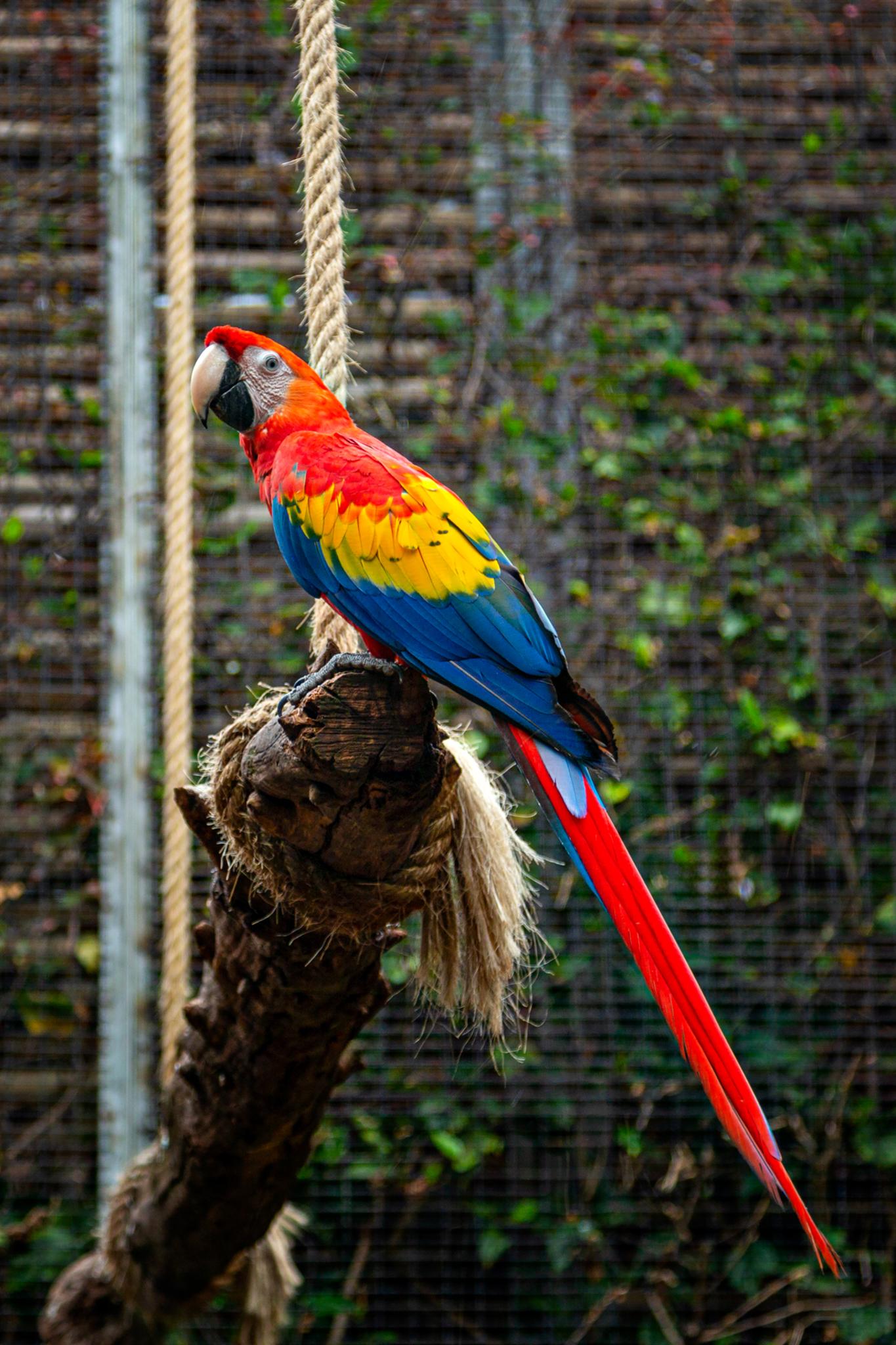 � Jaume Jov� 2026