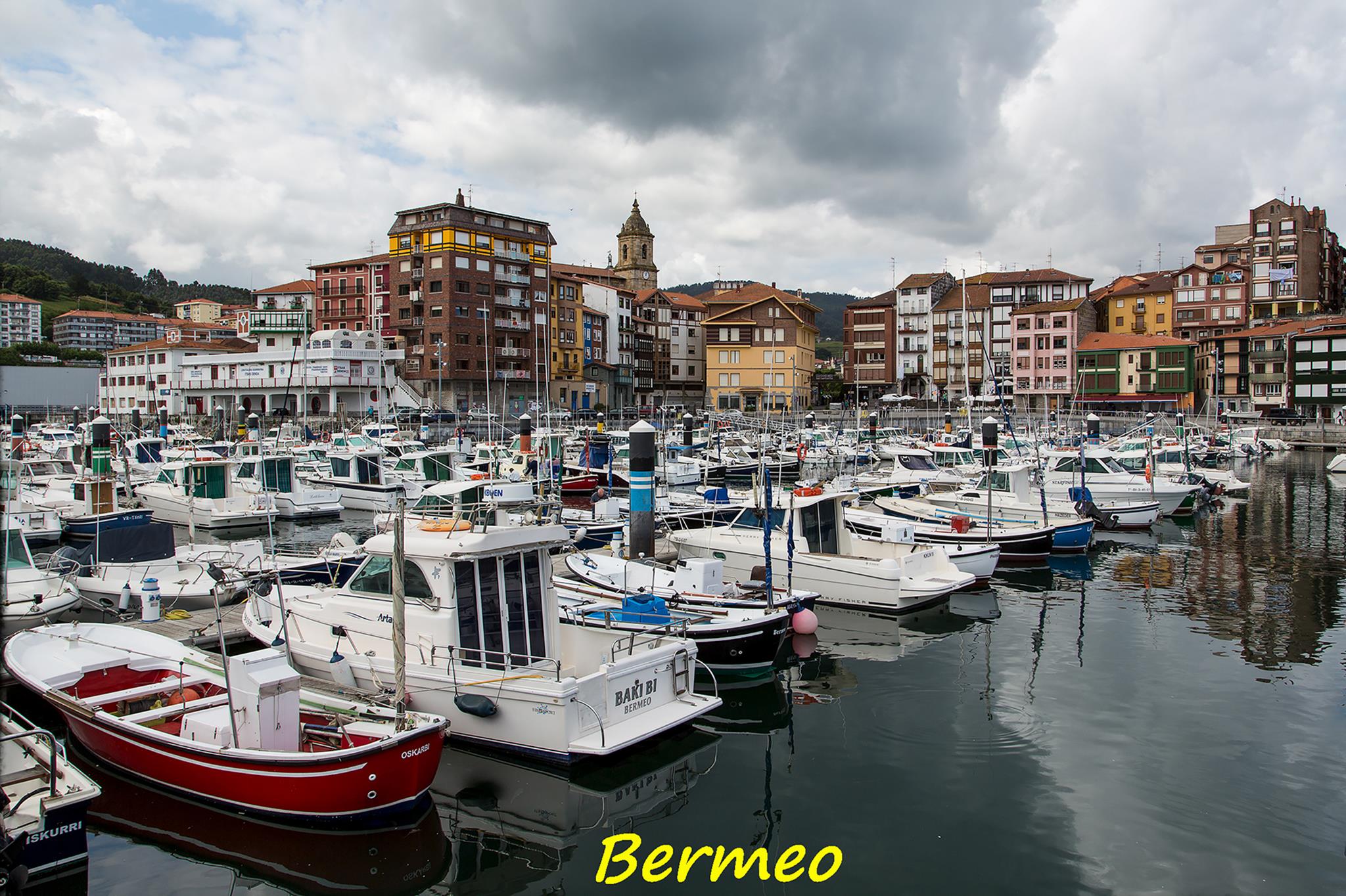 � Jaume Jov� 2026