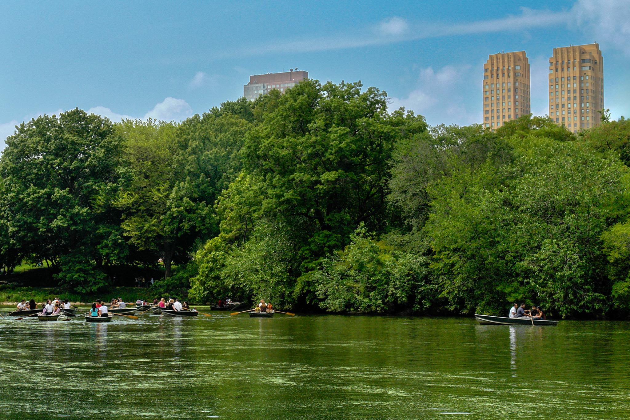 � Jaume Jov� 2026