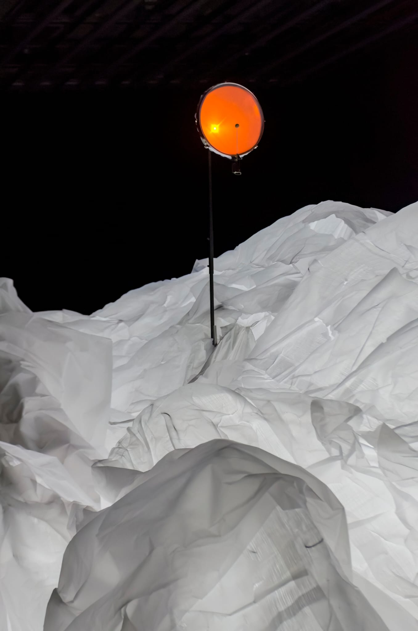 � Valent� Rodenas 2026