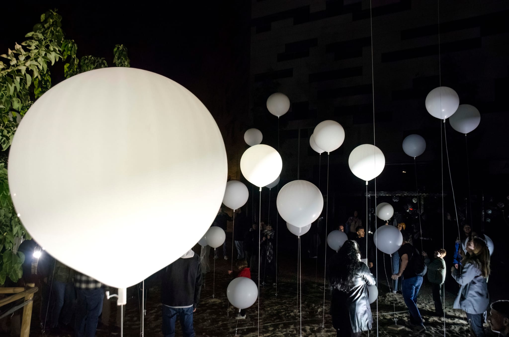 � Valent� Rodenas 2026