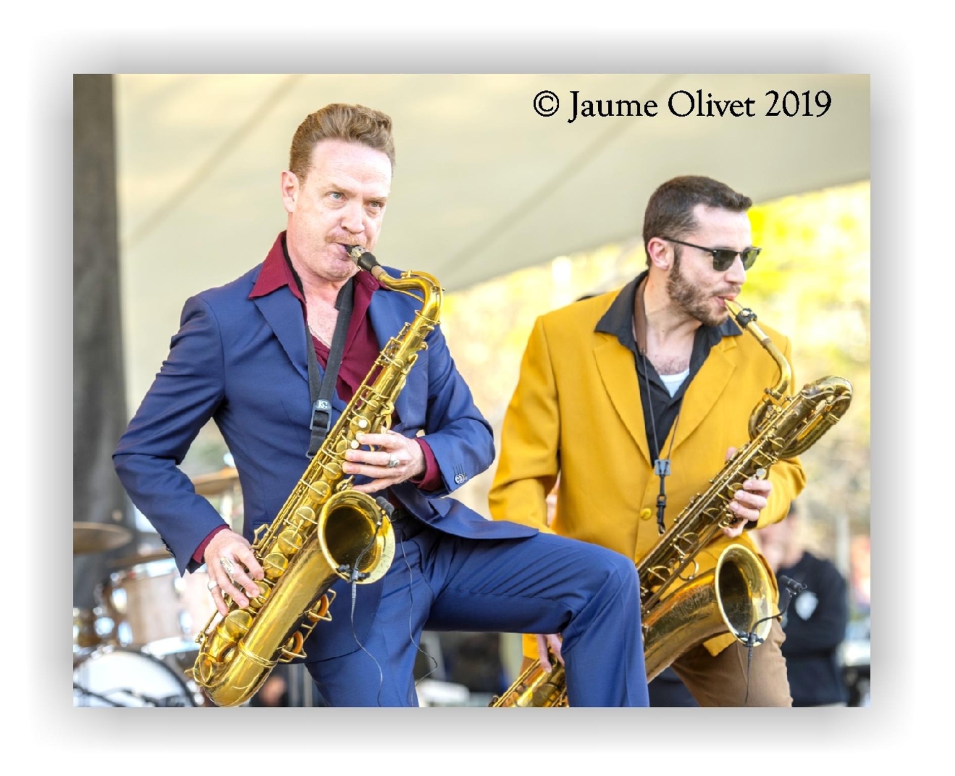 � Jaume Olivet 2019