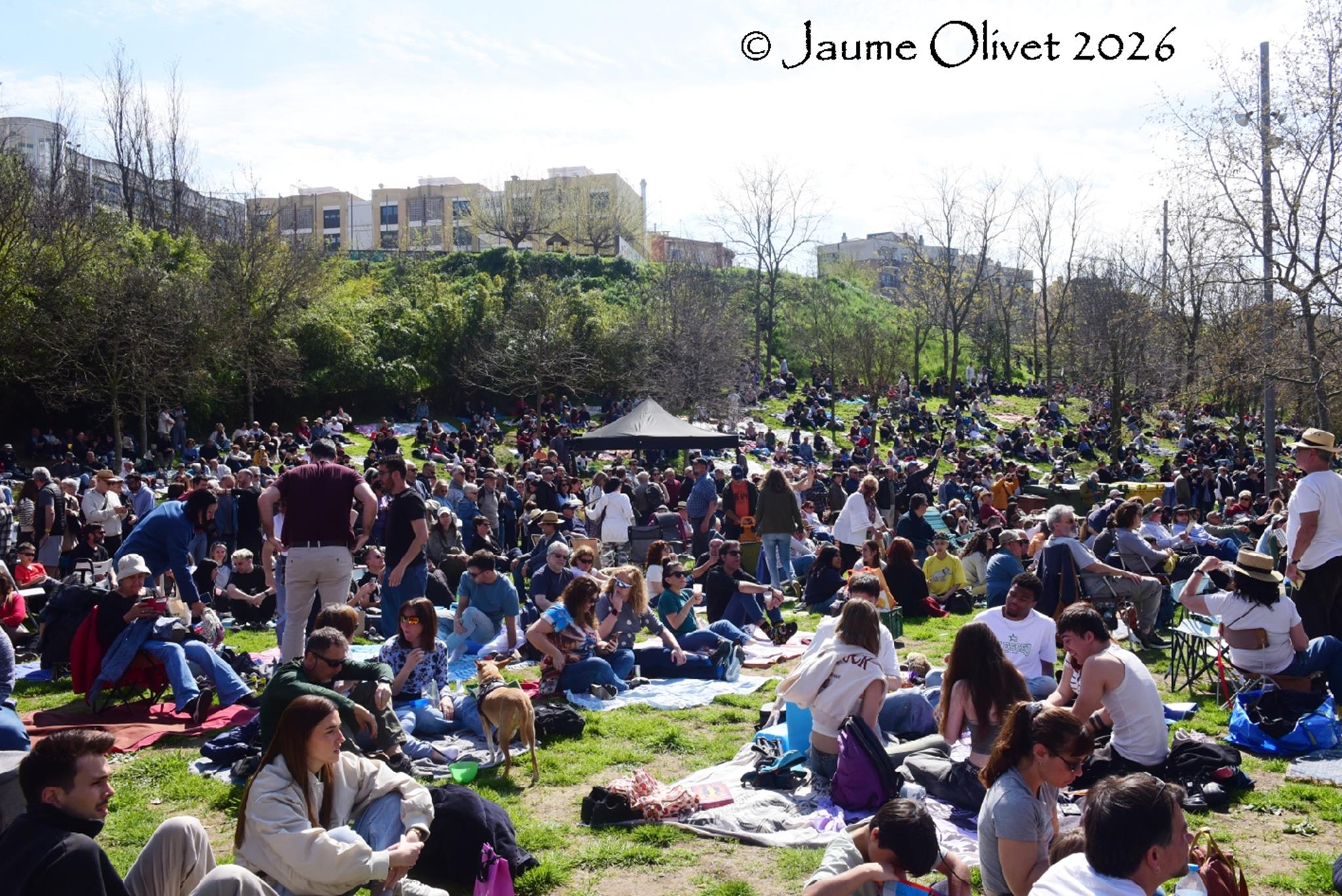 � Jaume Olivet 2026