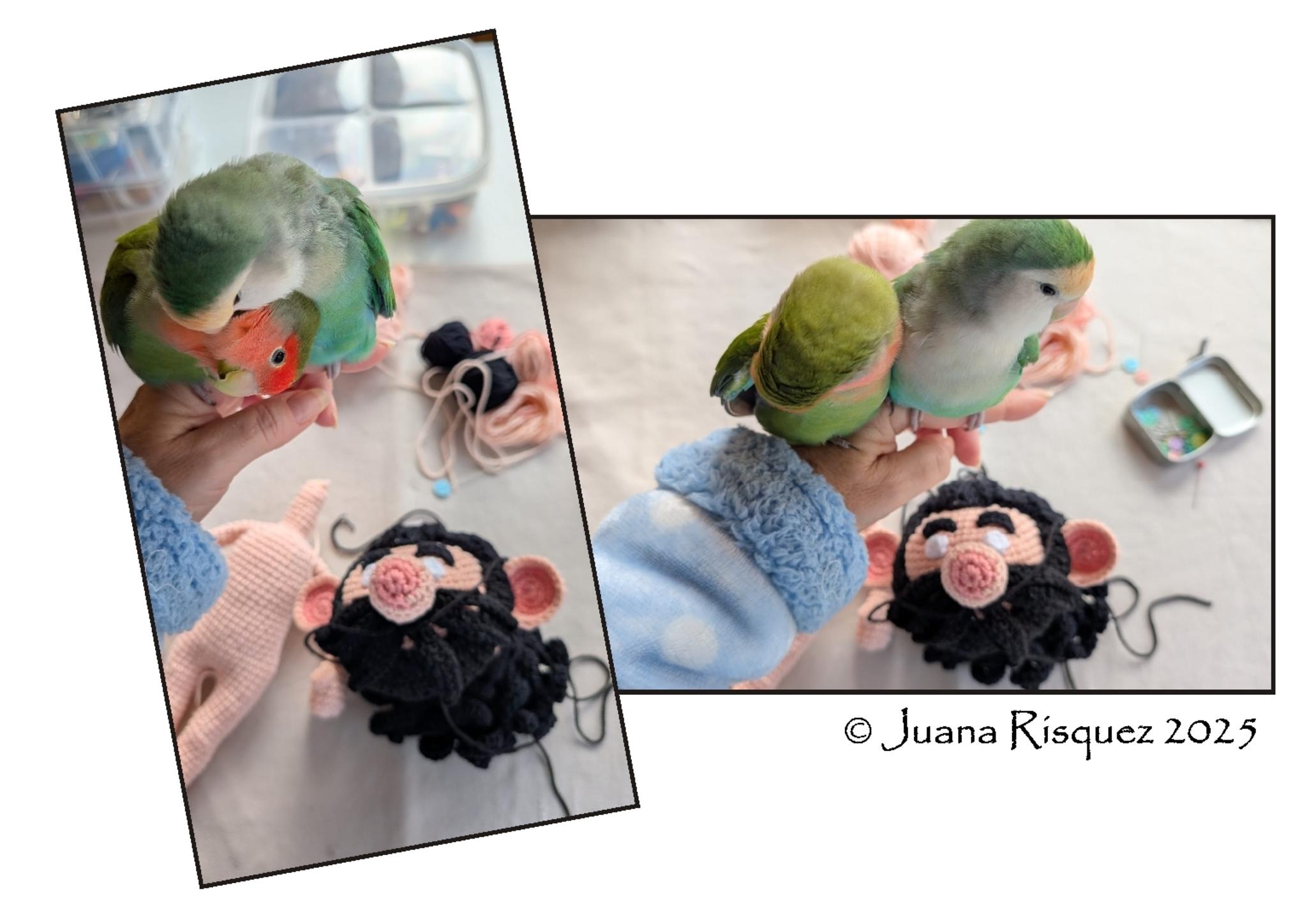 � Juana Risquez 2025