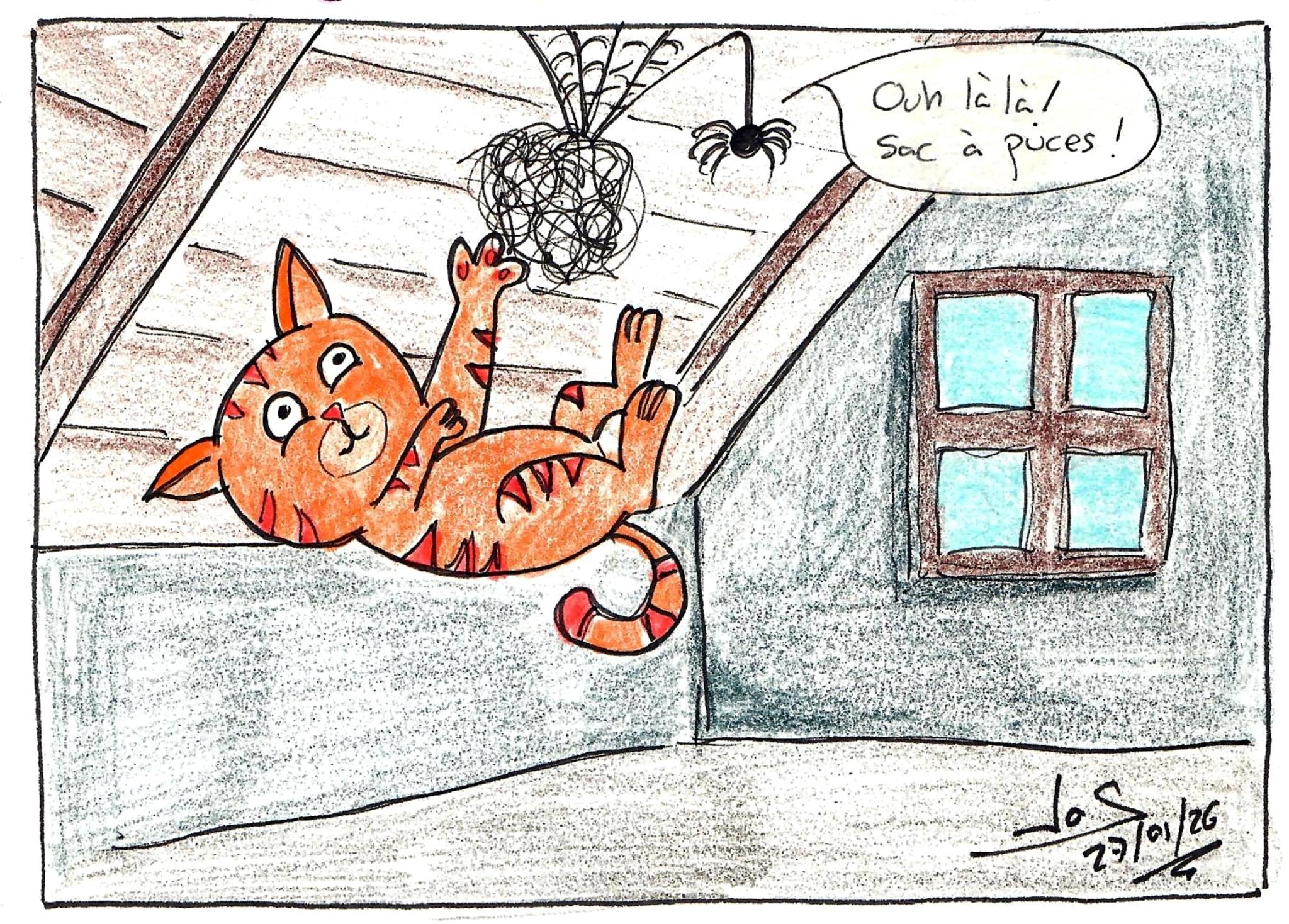 � Jaume Olivet 2026