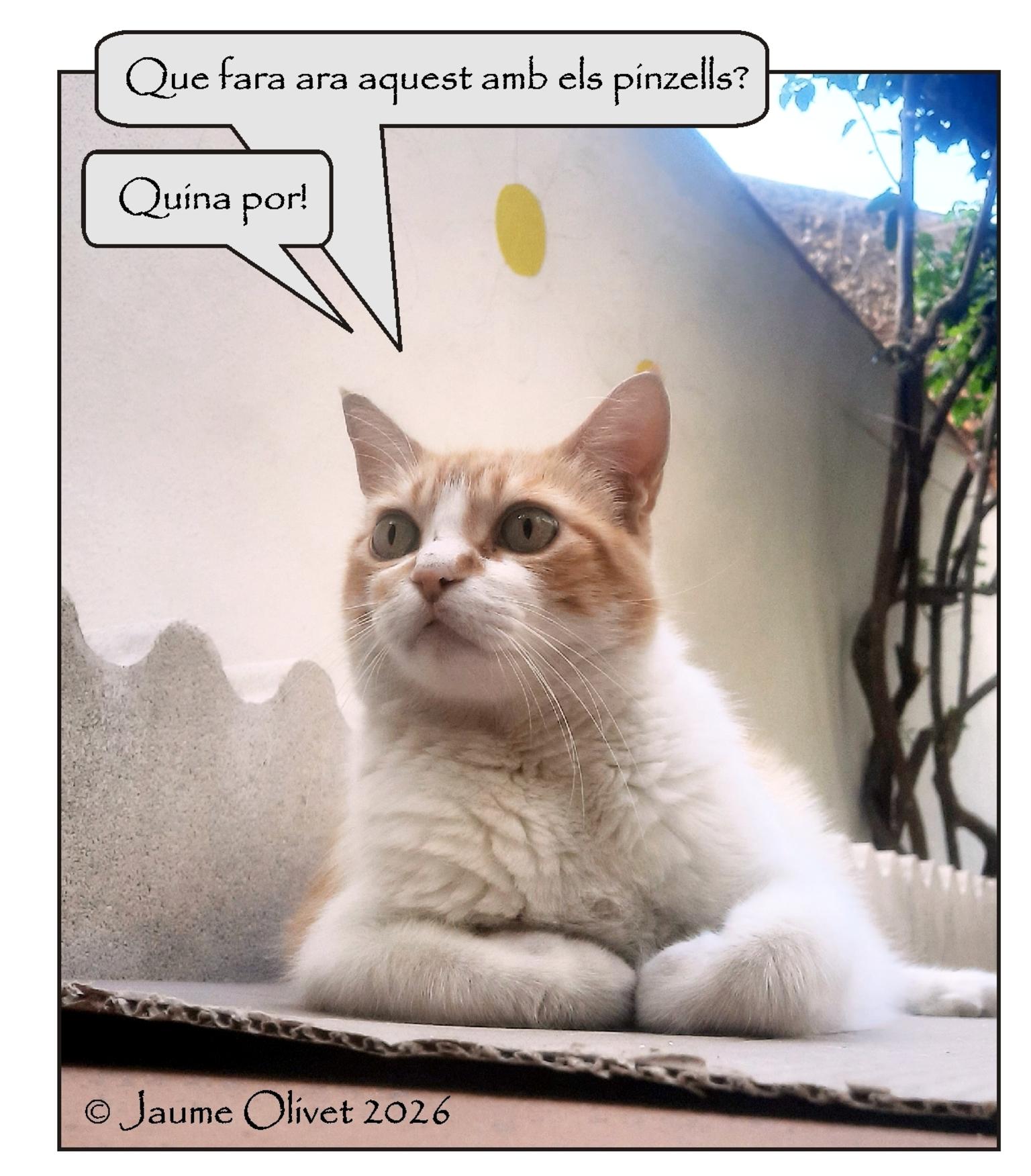 � Jaume Olivet 2026