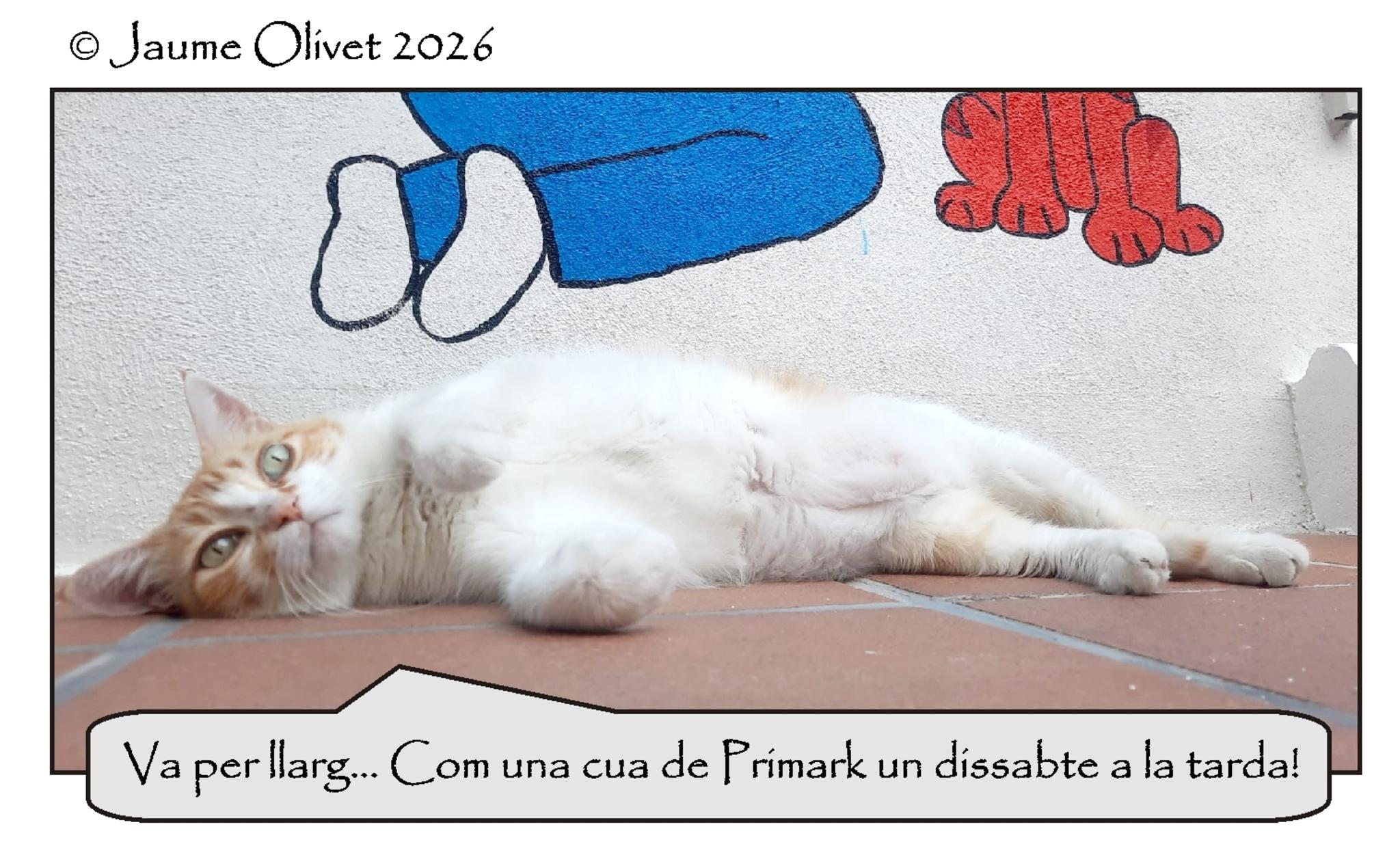 � Jaume Olivet 2026