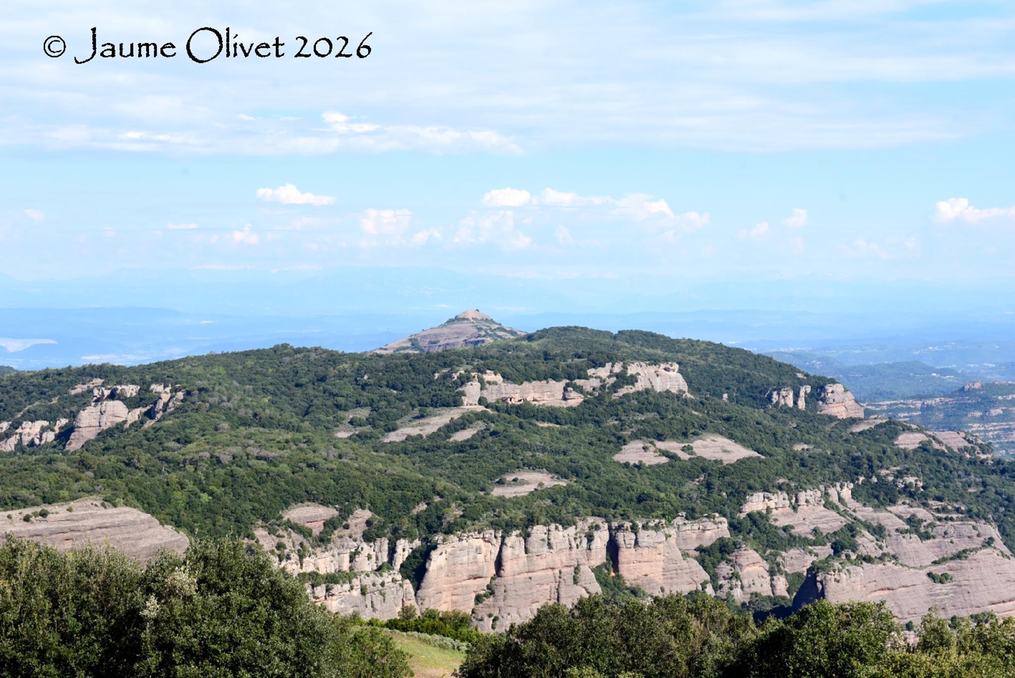 � Jaume Olivet 2026