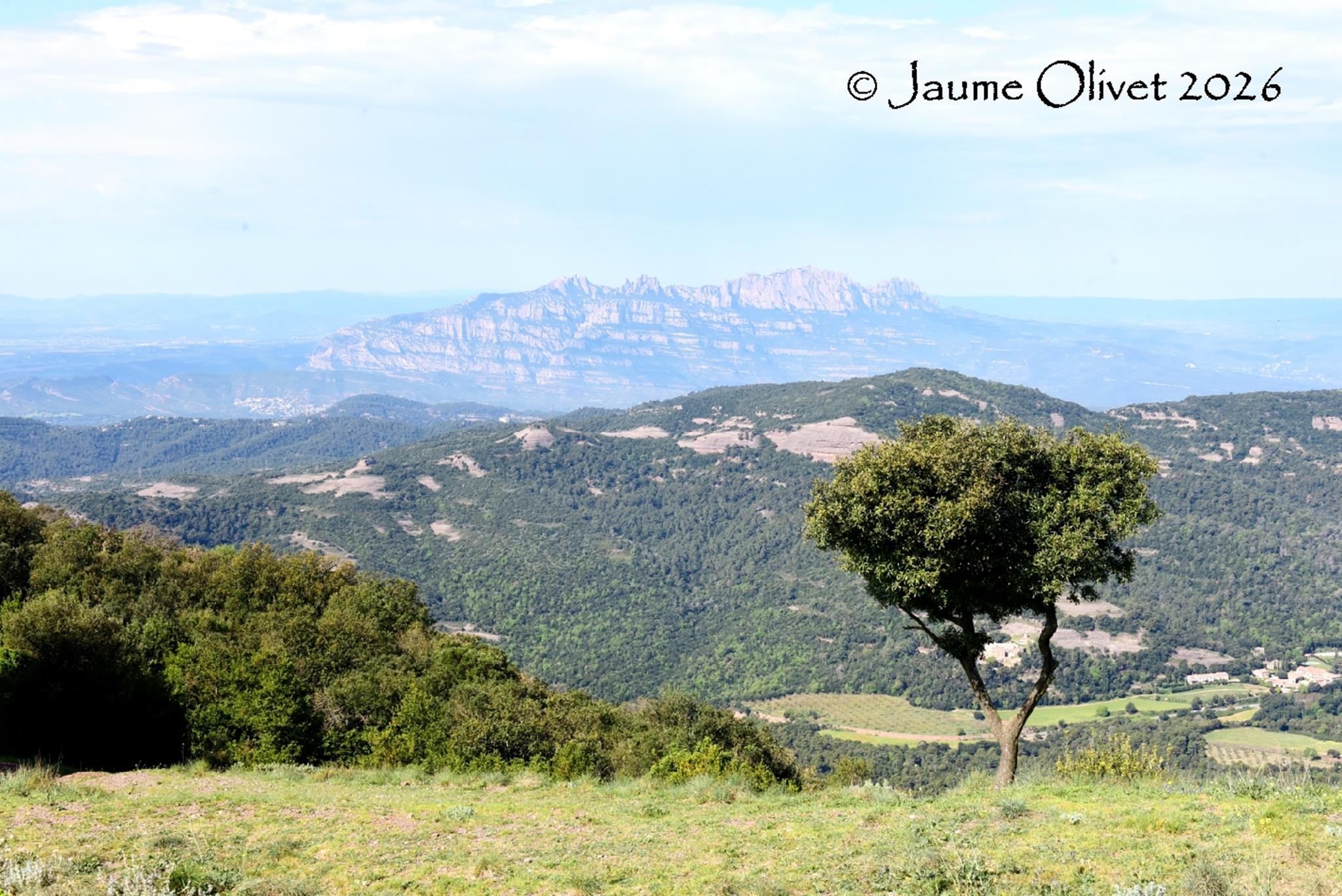 � Jaume Olivet 2026