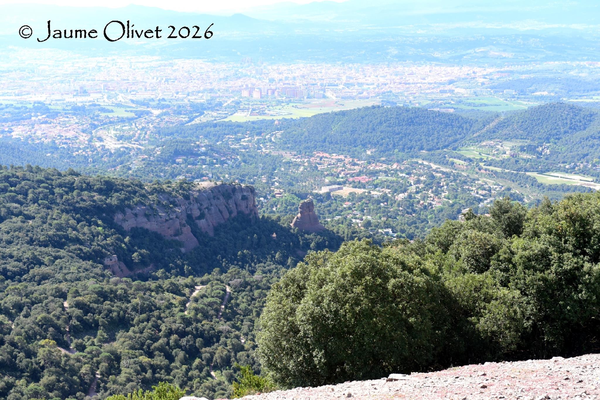 � Jaume Olivet 2026