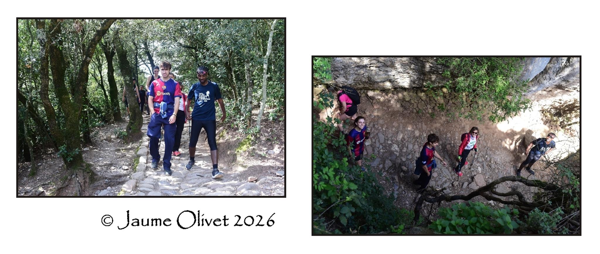 � Jaume Olivet 2026