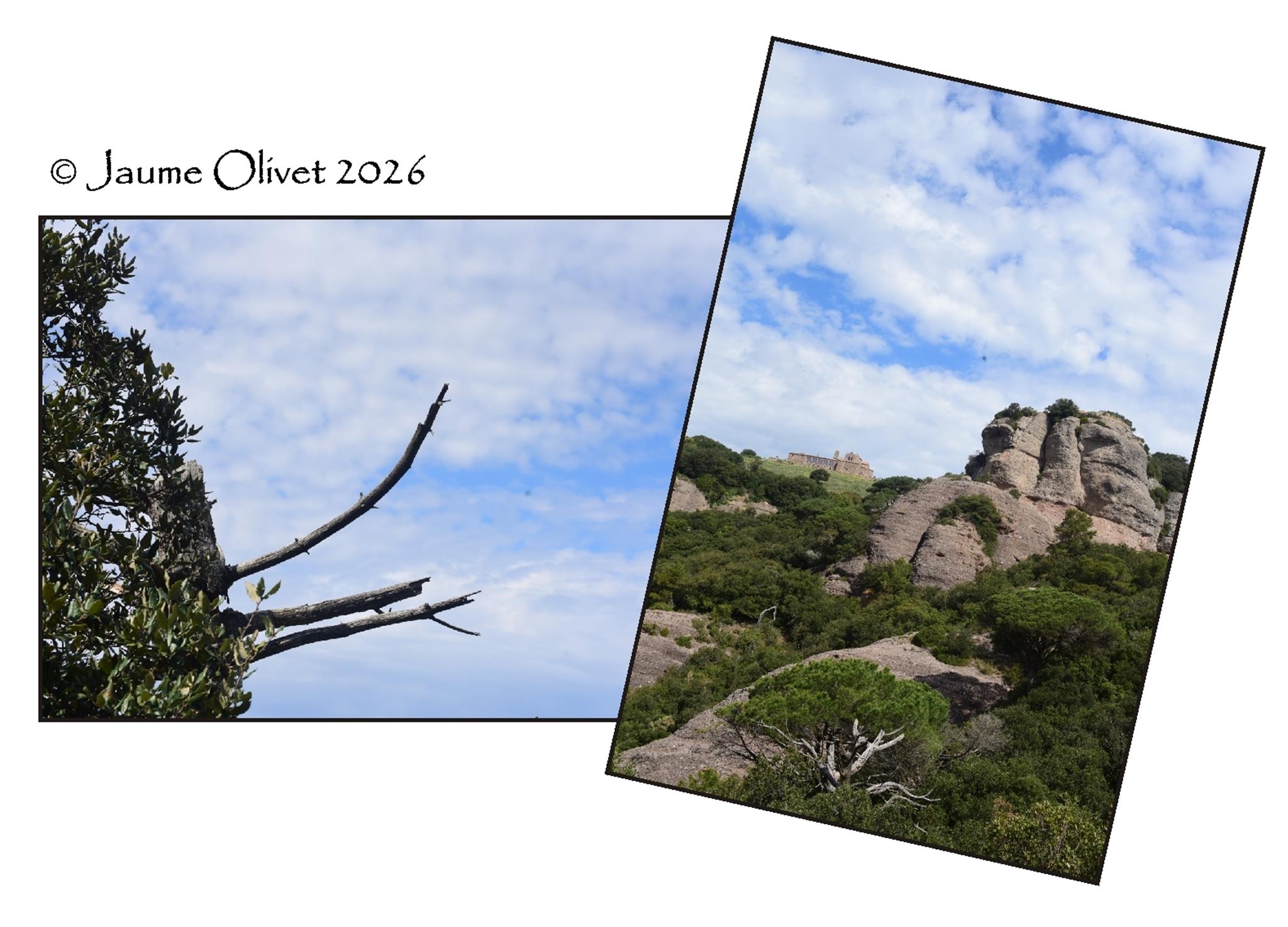 � Jaume Olivet 2026