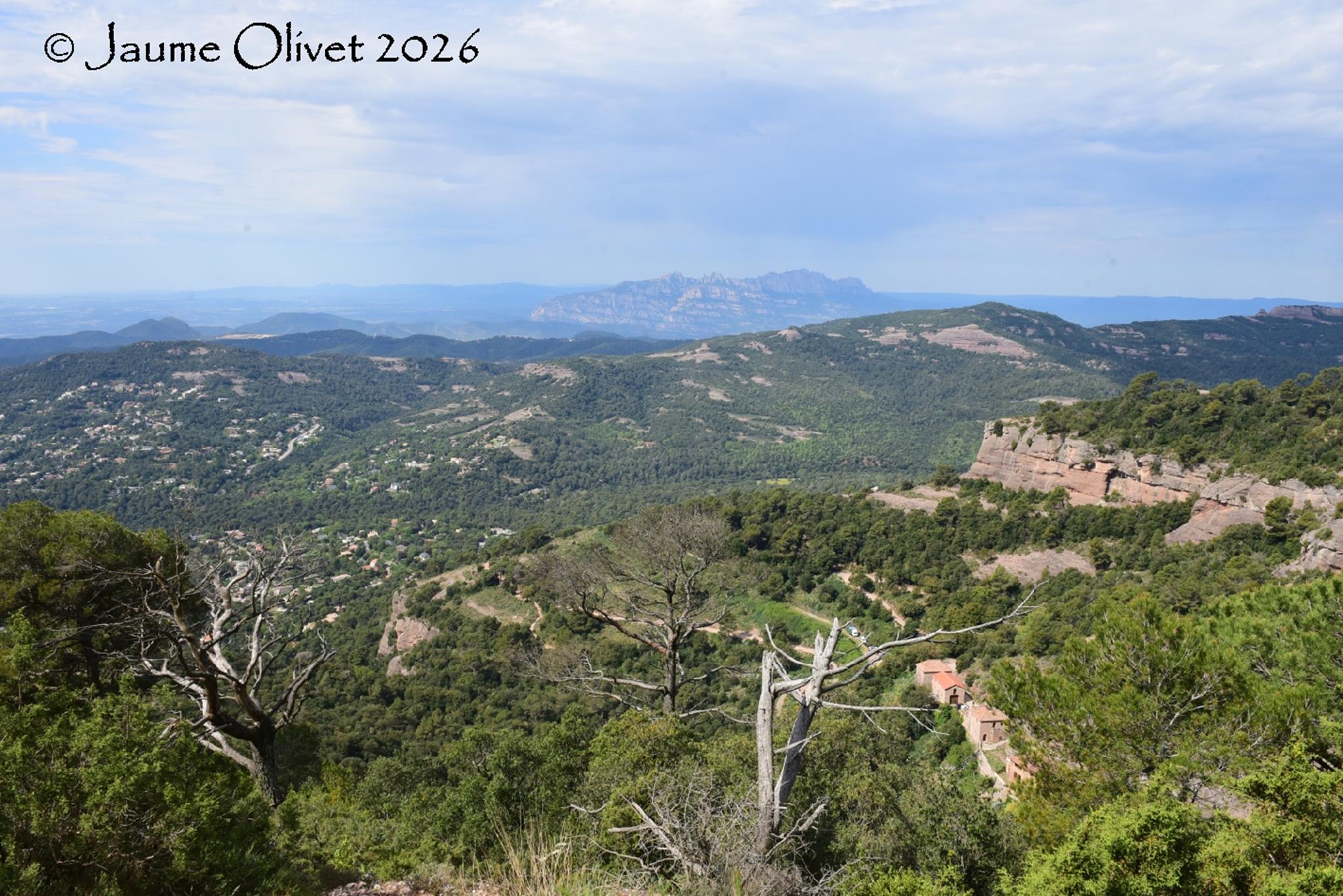 � Jaume Olivet 2026