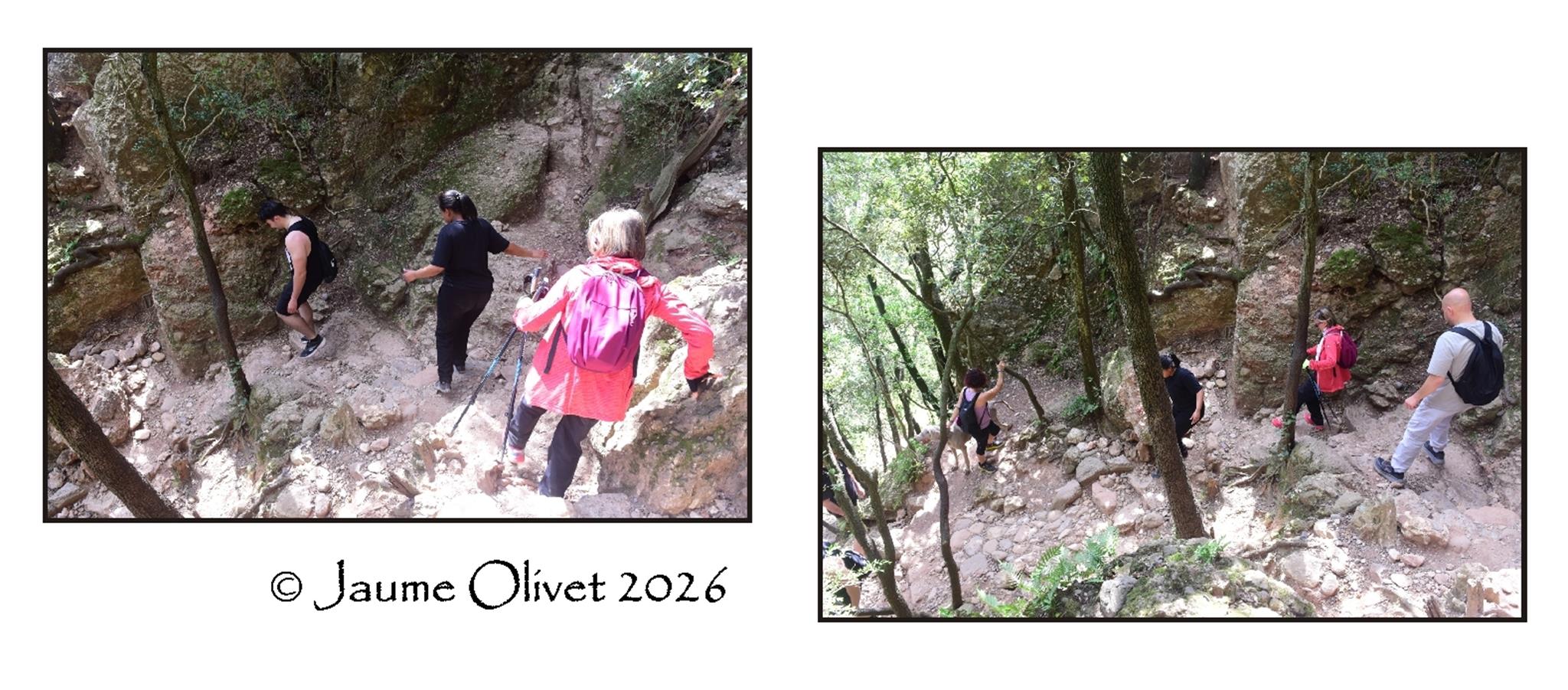 � Jaume Olivet 2026