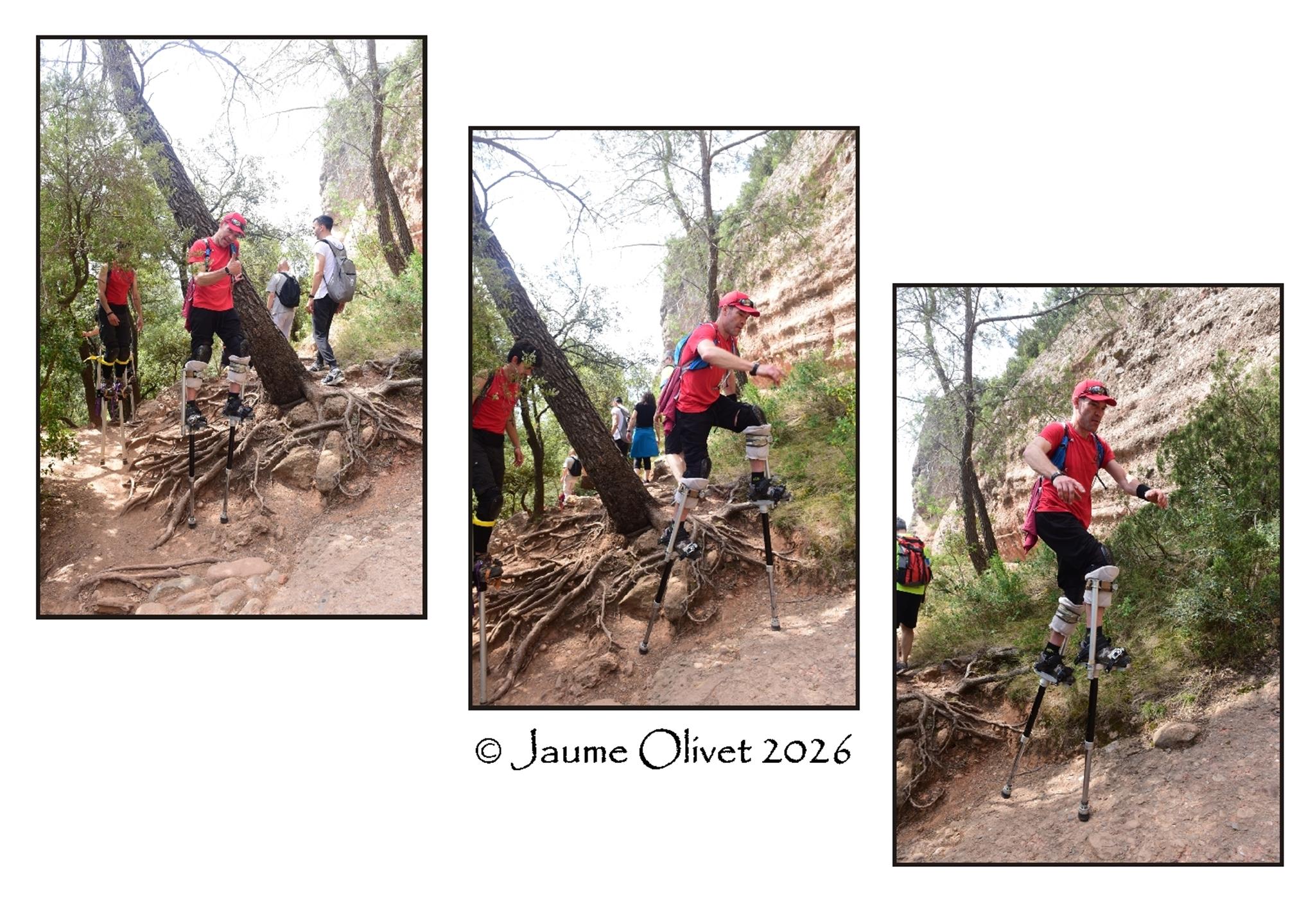 � Jaume Olivet 2026
