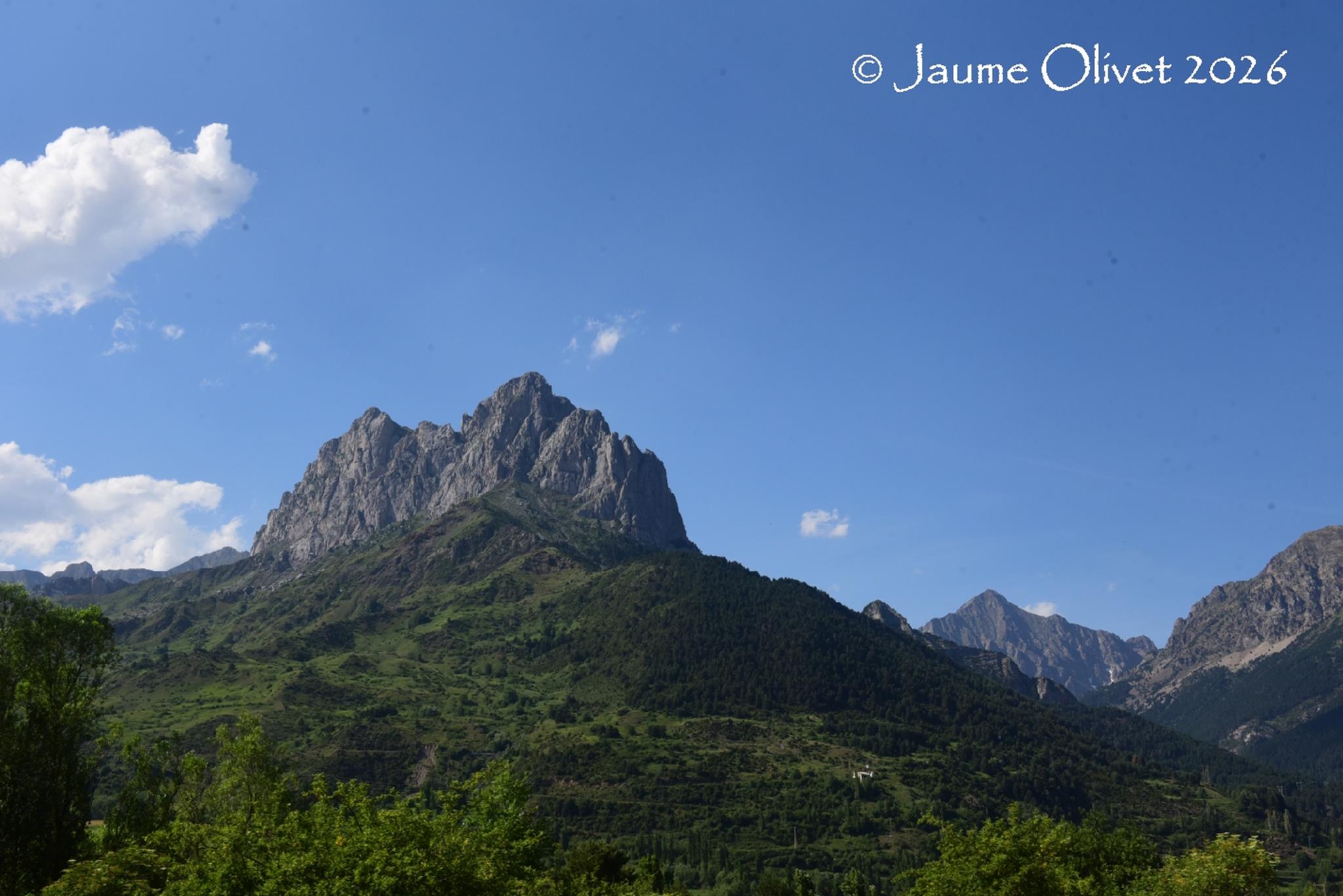 © Jaume Olivet 2026