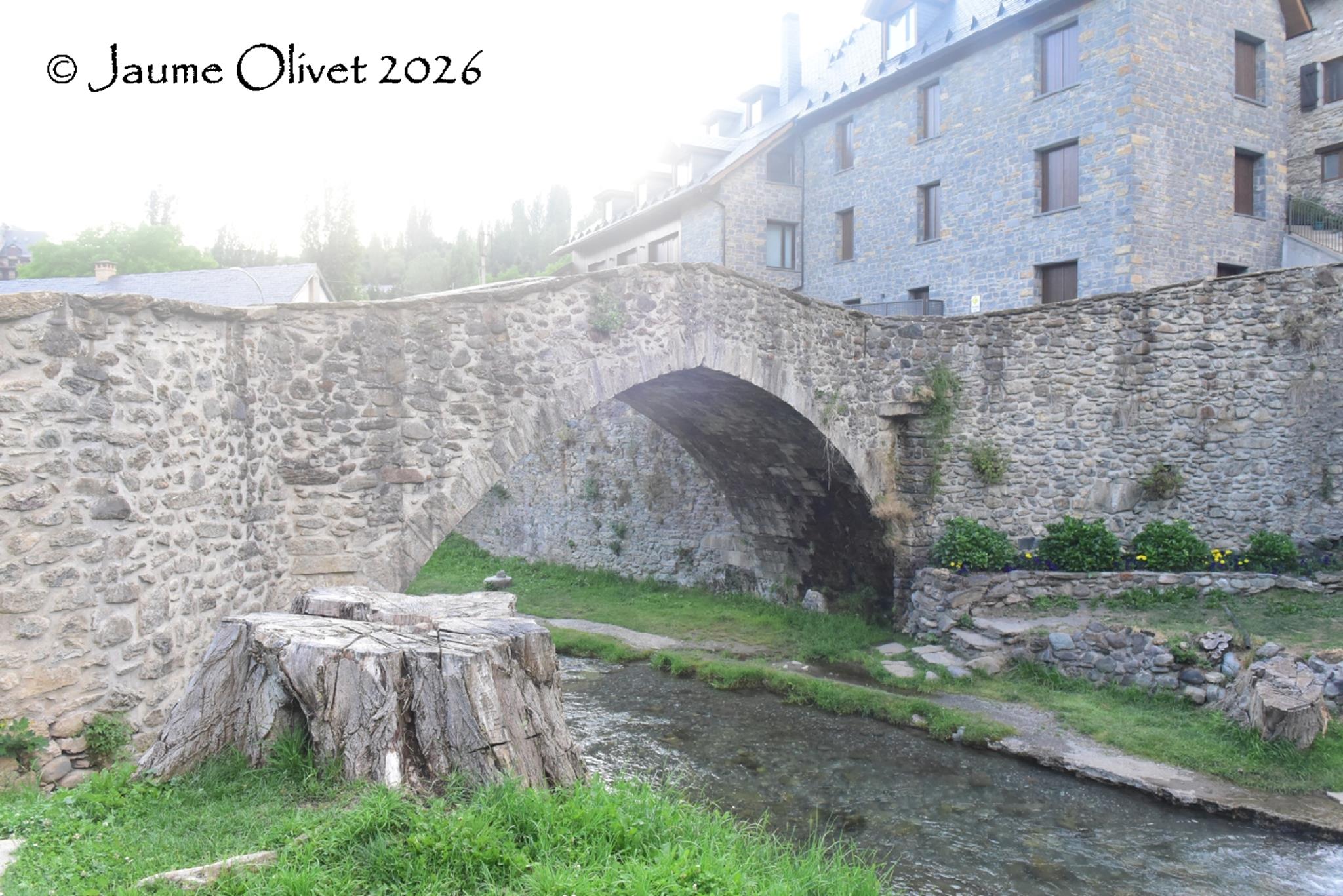 © Jaume Olivet 2026