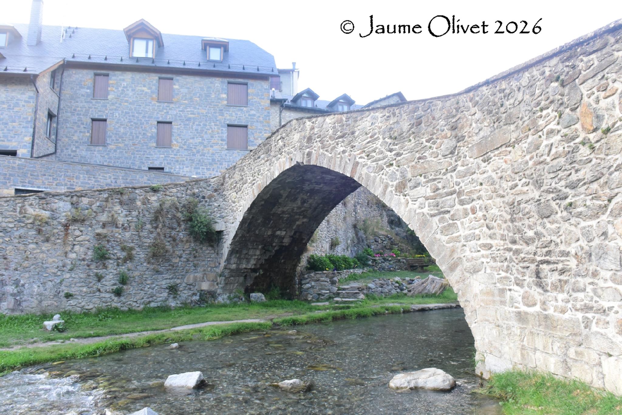 © Jaume Olivet 2026
